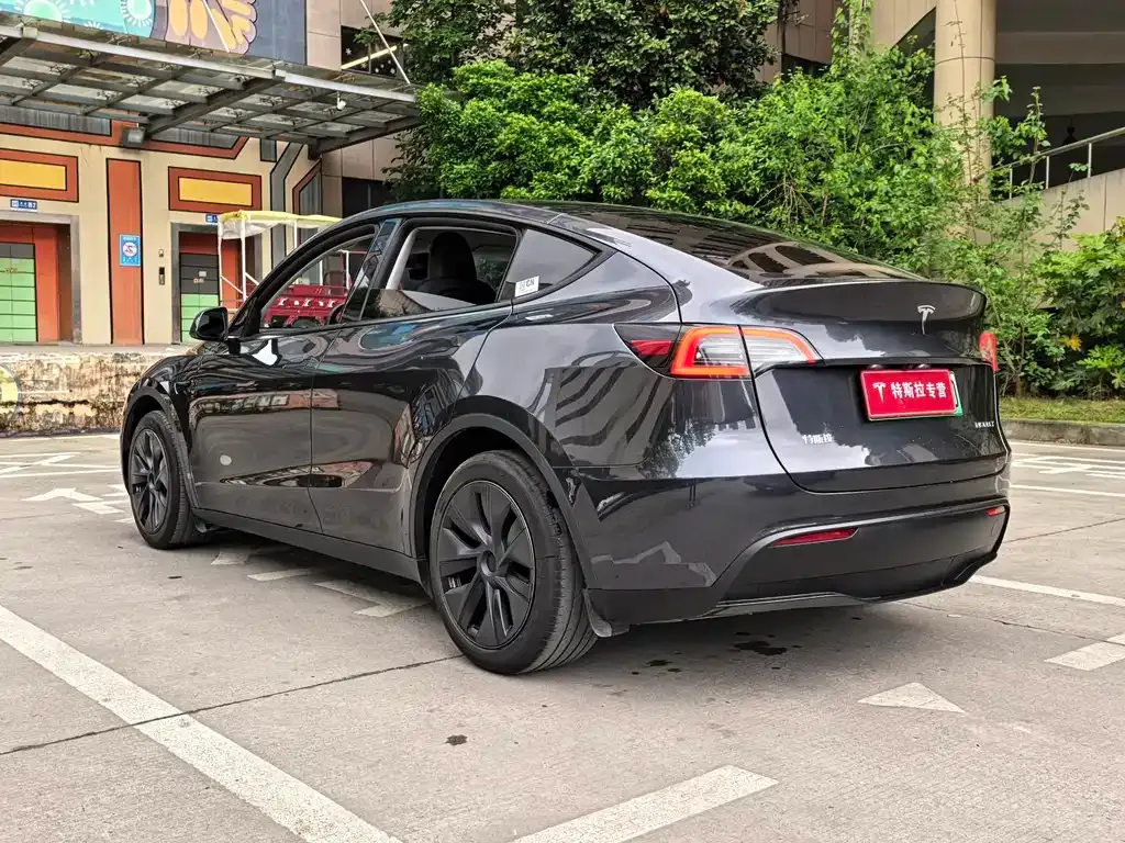 Tesla Model Y — фото 10