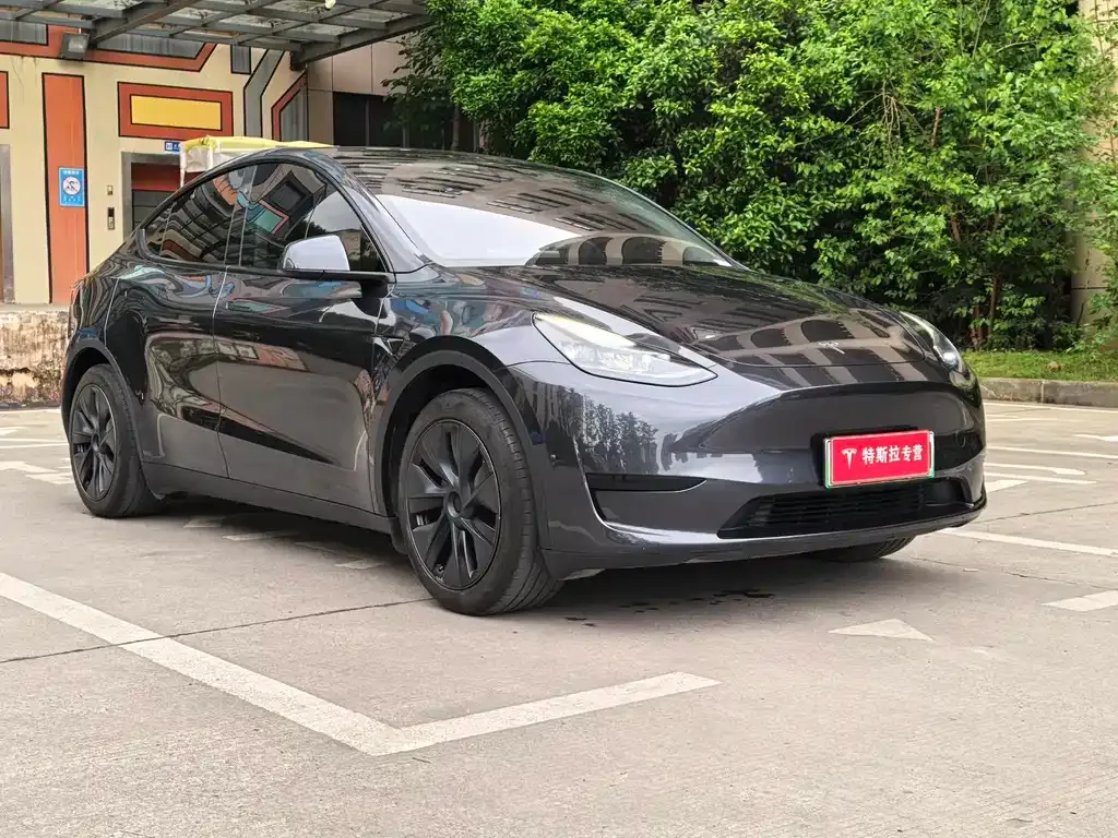 Tesla Model Y — фото 9