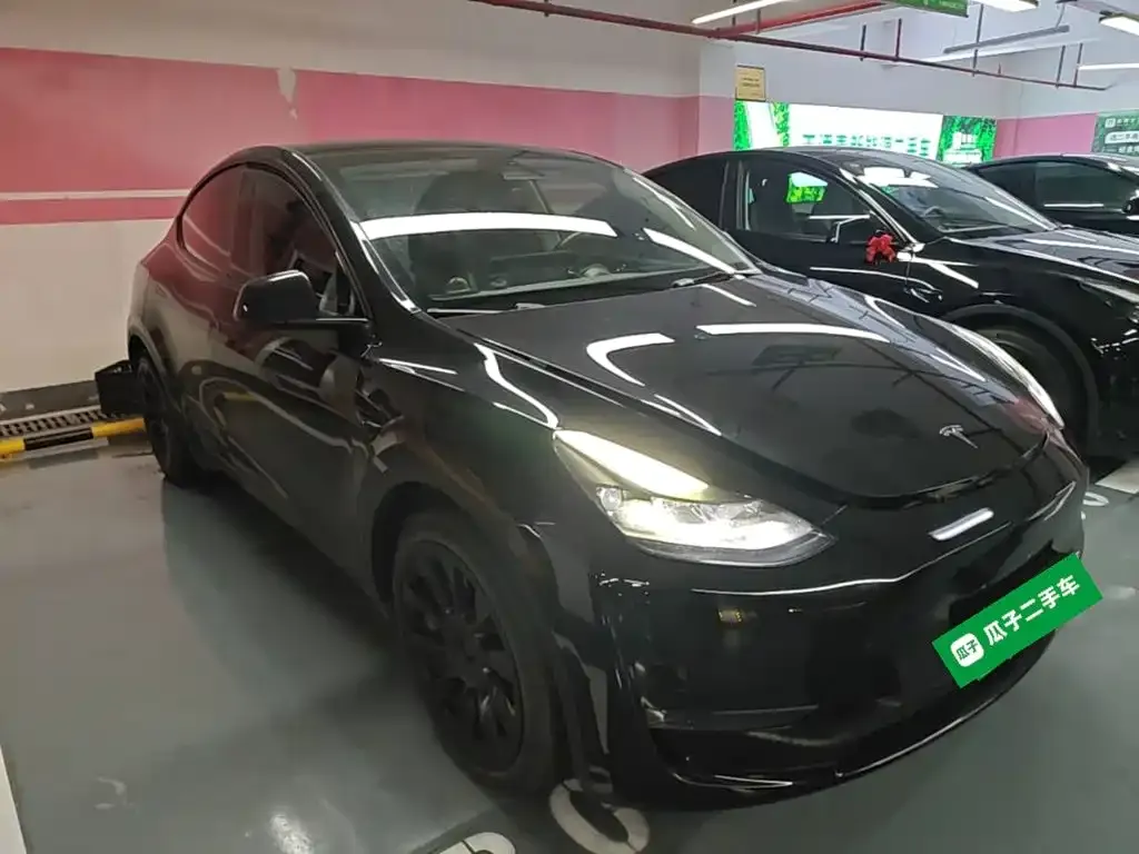 Tesla Model Y — фото 3