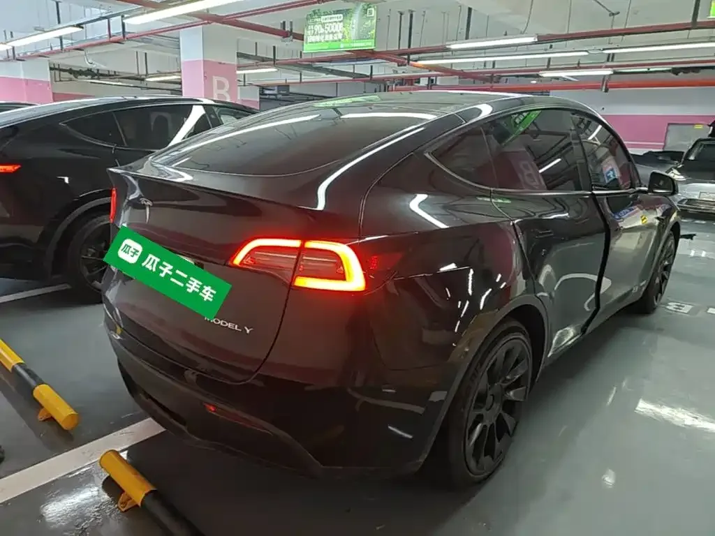 Tesla Model Y — фото 10