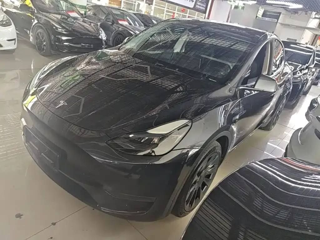 Tesla Model Y — фото 1