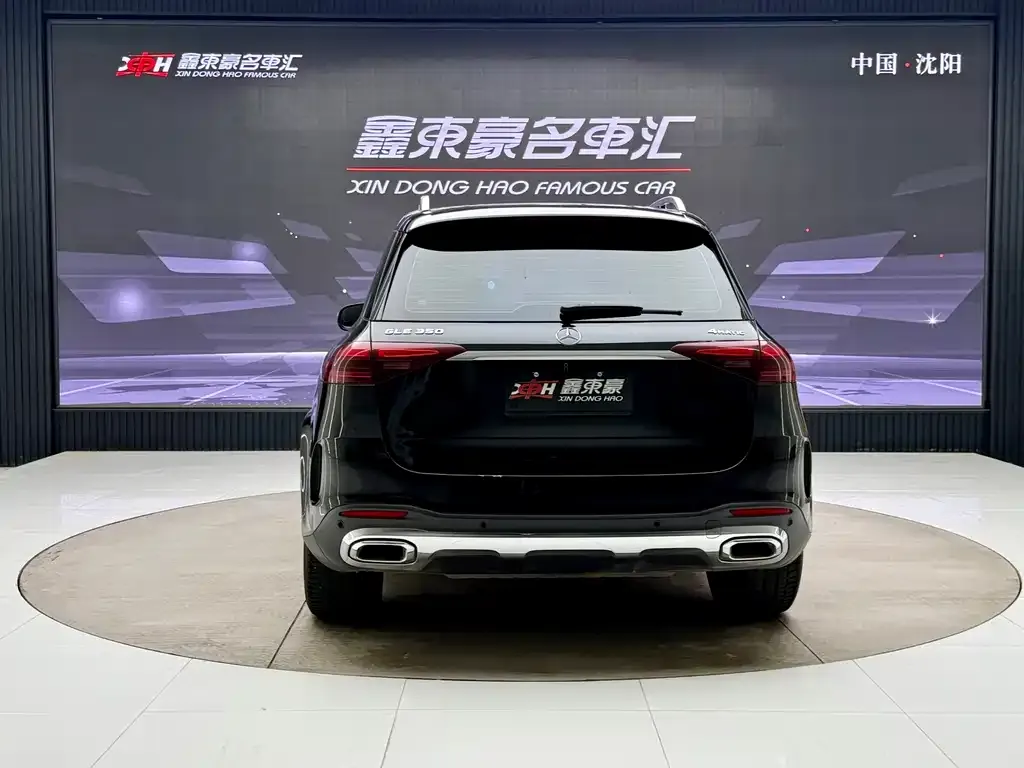 Mercedes-Benz 奔驰GLE(进口) — фото 6