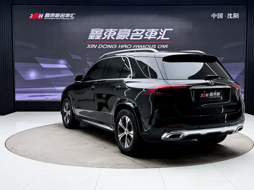 Mercedes-Benz 奔驰GLE(进口) — фото 9