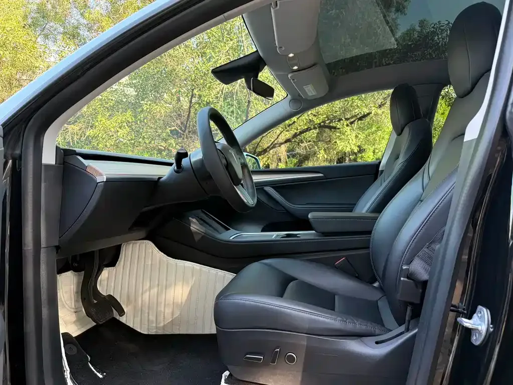 Tesla Model Y — фото 8