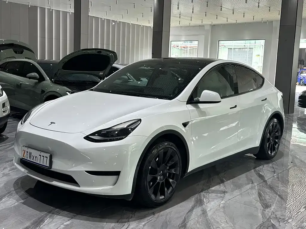 Tesla Model Y — фото 1