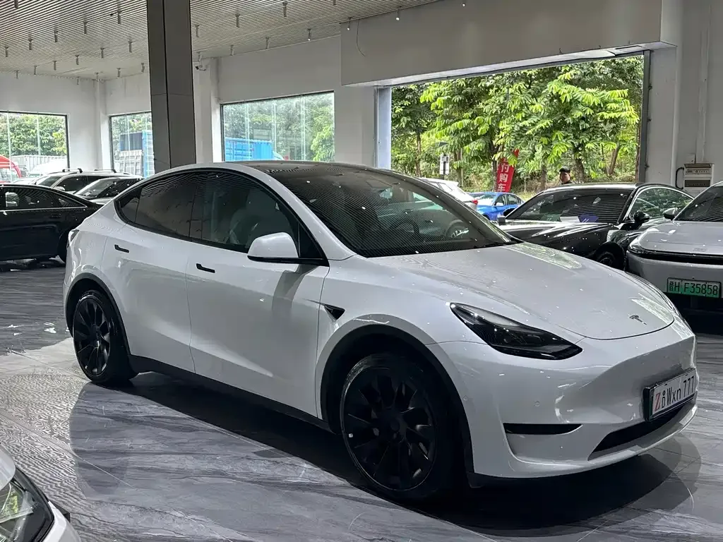 Tesla Model Y — фото 10