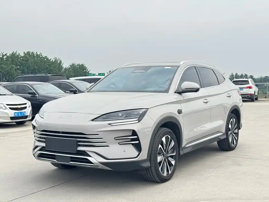 BYD PLUS New Energy — фото 1