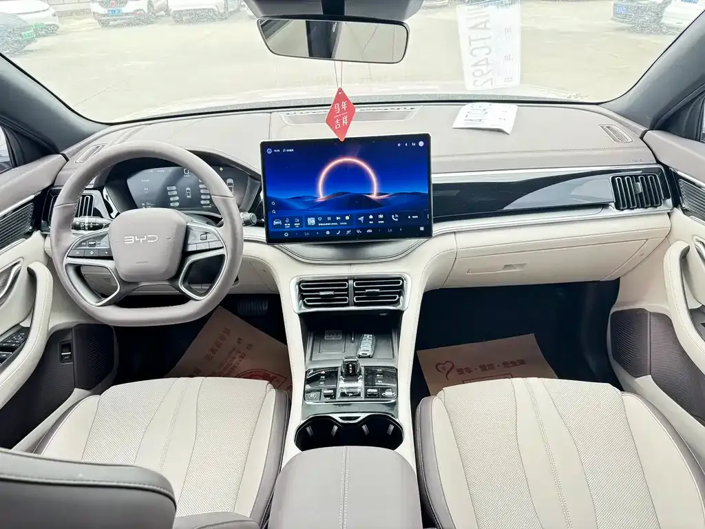 BYD PLUS New Energy — фото 4