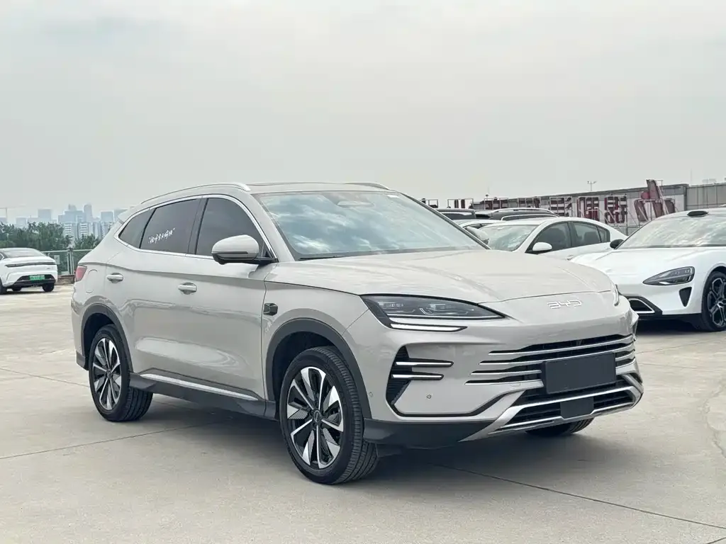 BYD PLUS New Energy — фото 6