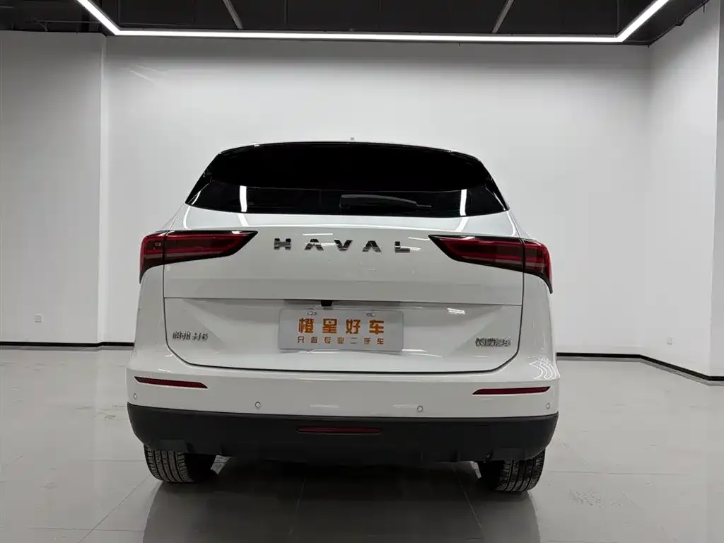 Haval H6 — фото 3