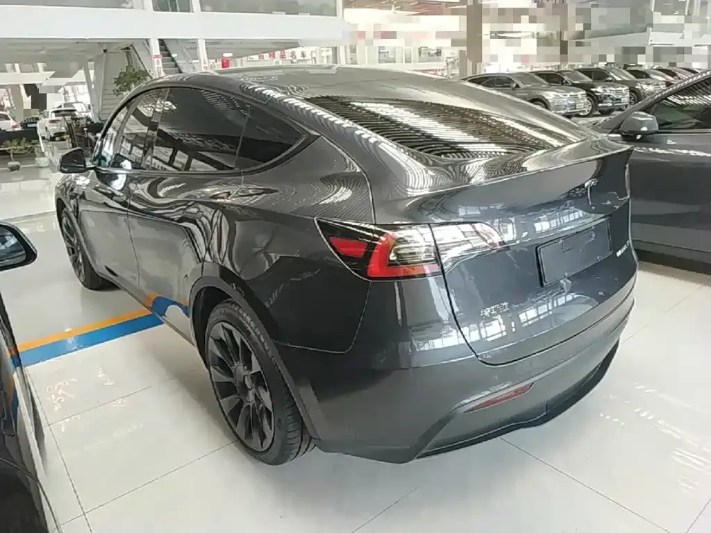 Tesla Model Y — фото 3