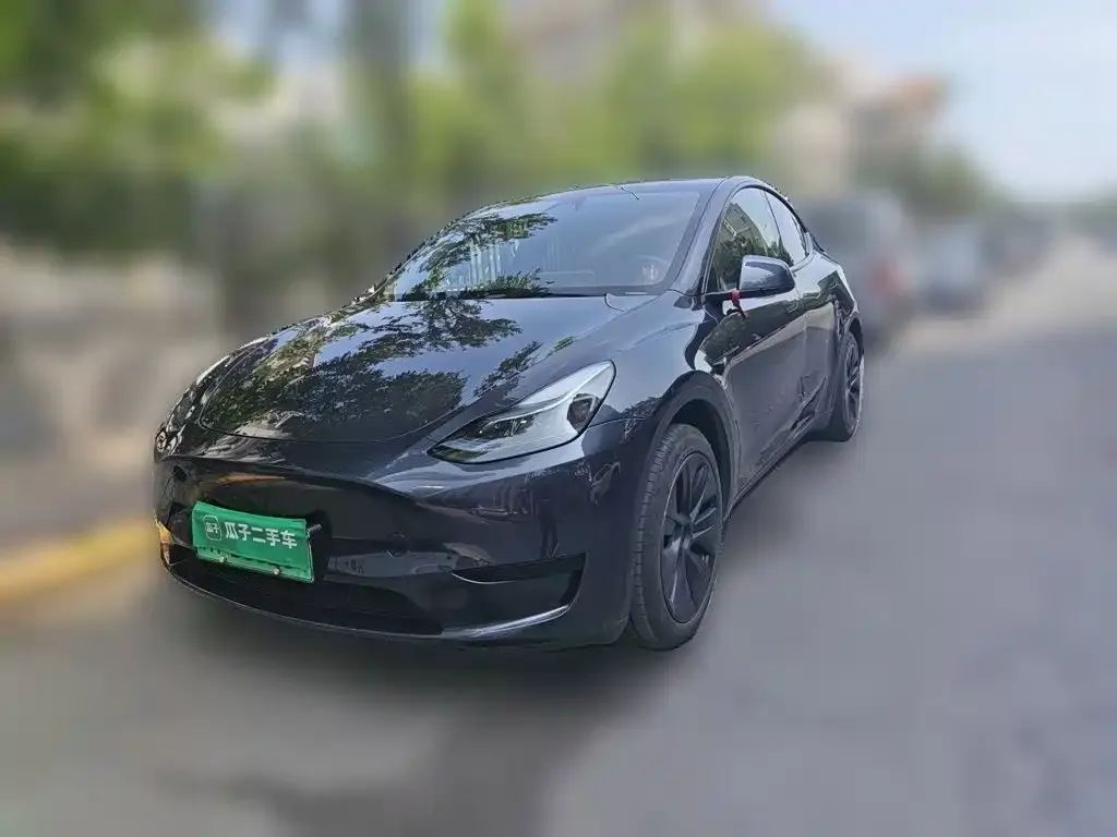 Tesla Model Y — фото 6
