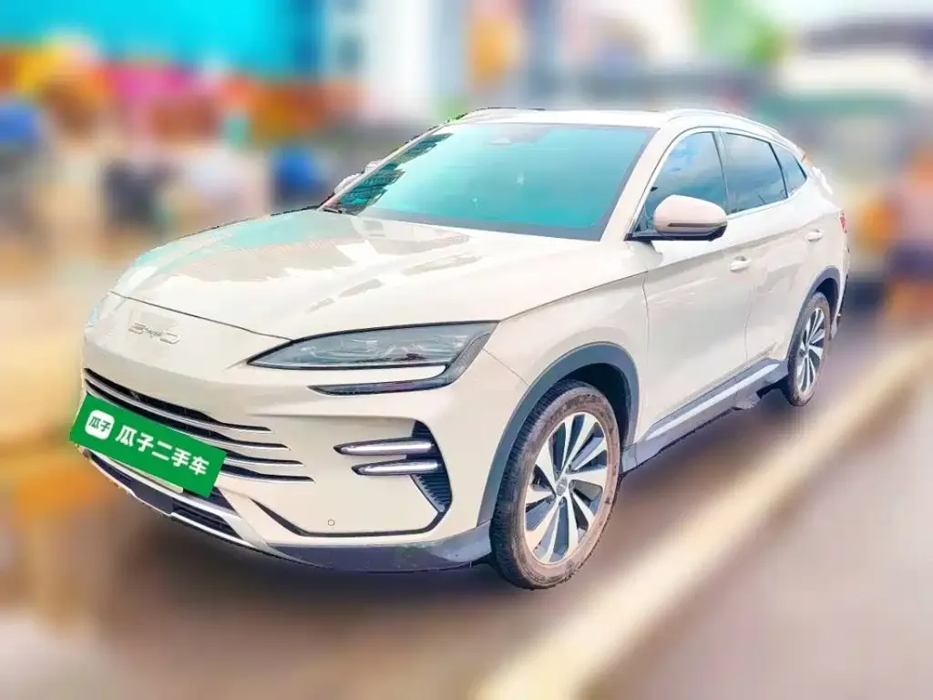 BYD PLUS New Energy — фото 2
