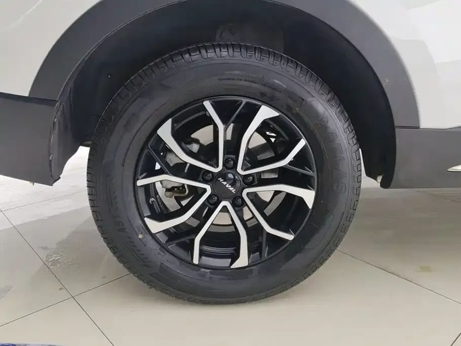 Haval H6 2024 из CN, фото 4