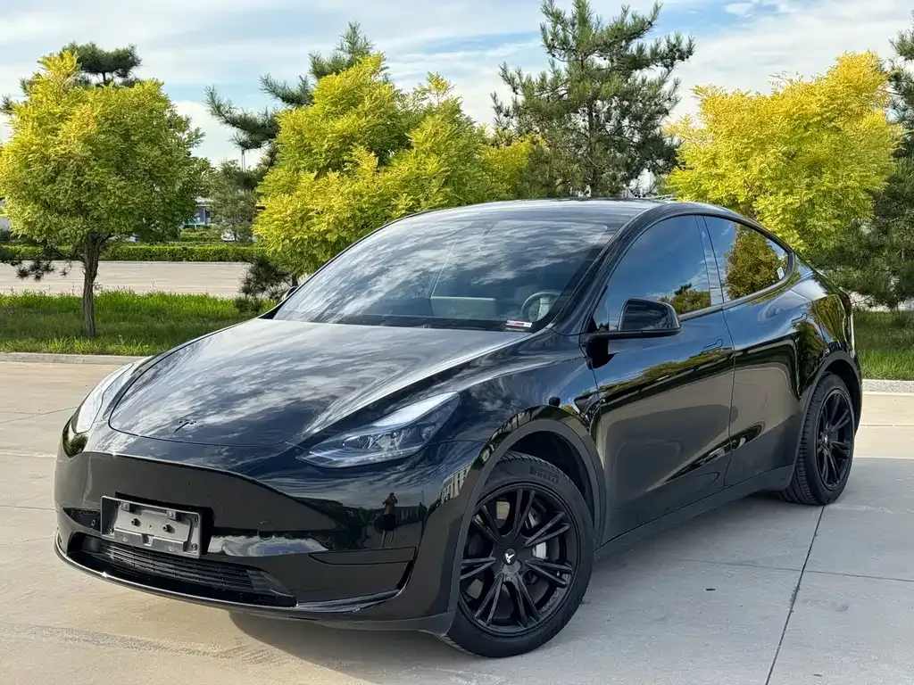 Tesla Model Y — фото 1