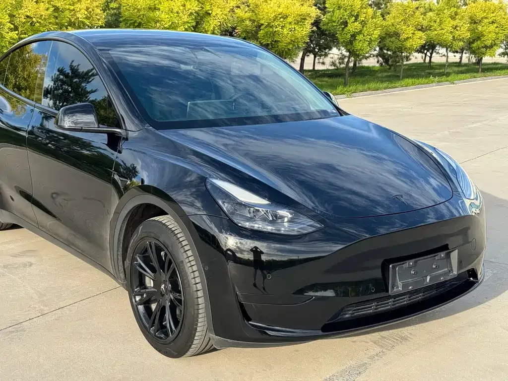 Tesla Model Y — фото 10