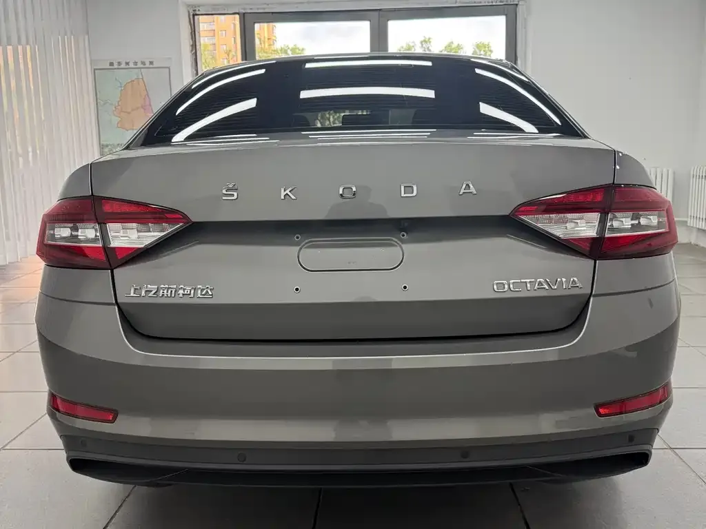 Skoda Octavia 2022 из CN, фото 8
