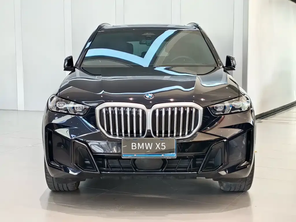 BMW X5 — фото 3