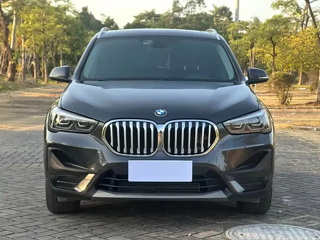 BMW X1 — фото 1