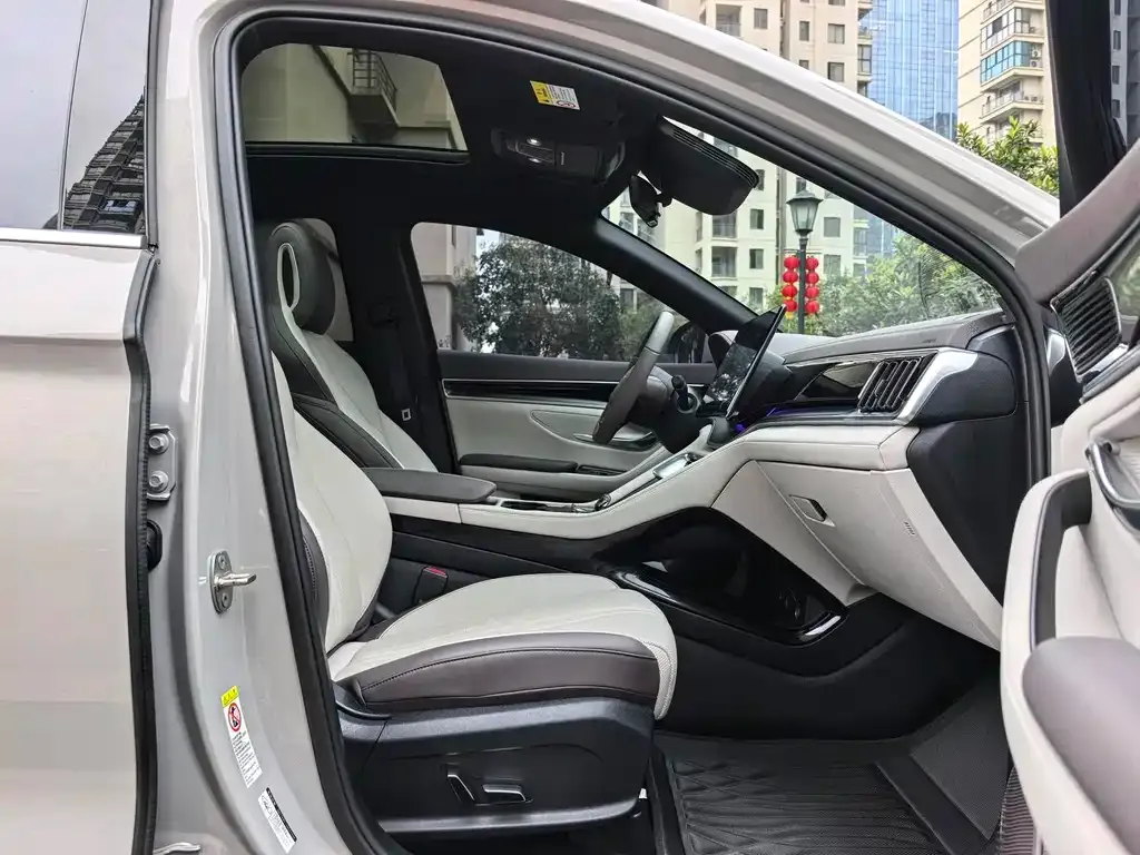 BYD PLUS New Energy — фото 2