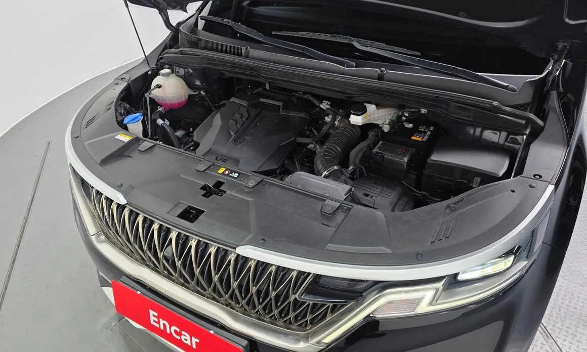 Kia Carnival — фото 10