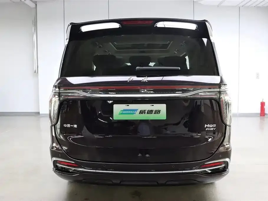 Hongqi HQ9 PHEV 2024 из CN, фото 3