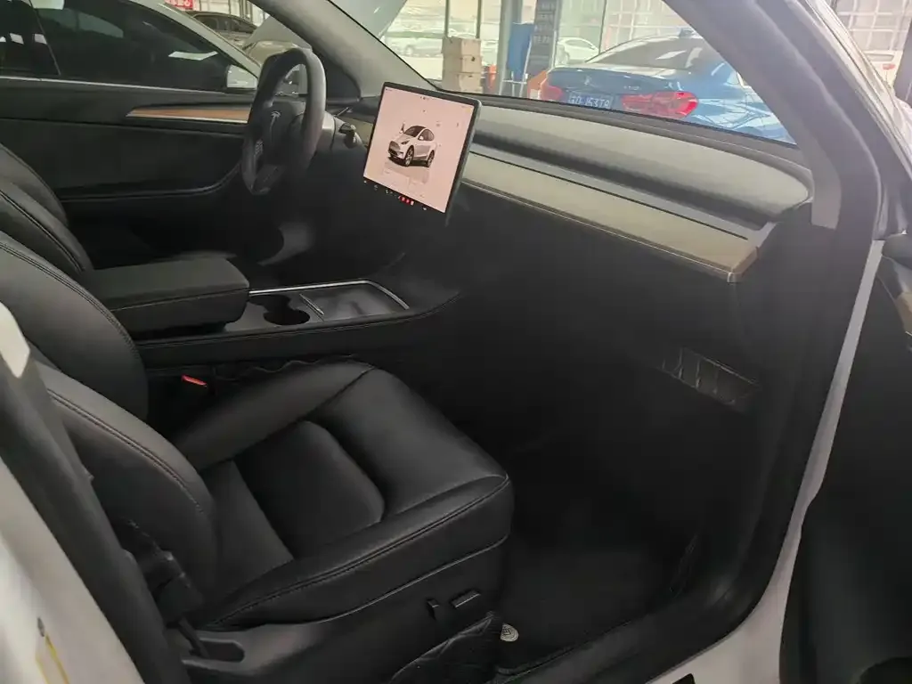 Tesla Model Y — фото 2