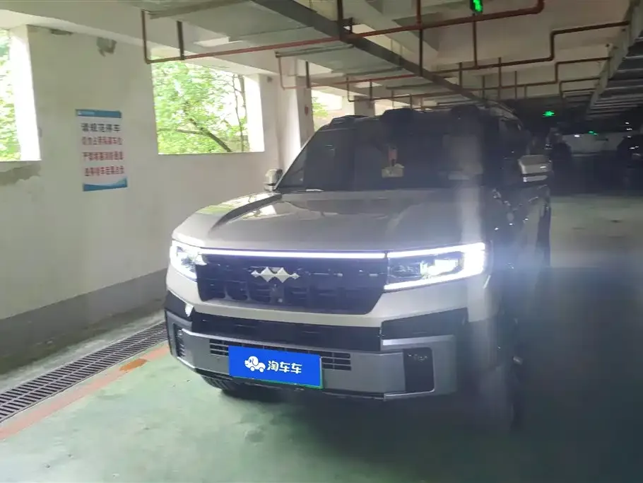 Fang Cheng Bao Leopard 8 — фото 10