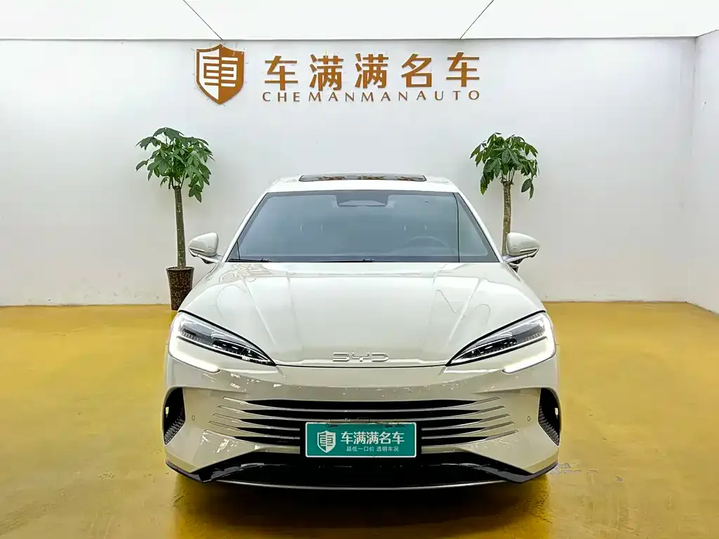 BYD Seal 07 DM-i — фото 2