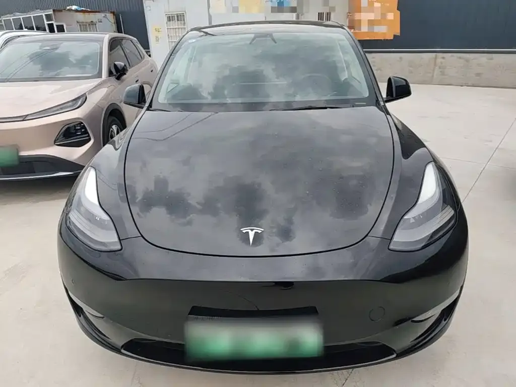 Tesla Model Y — фото 2
