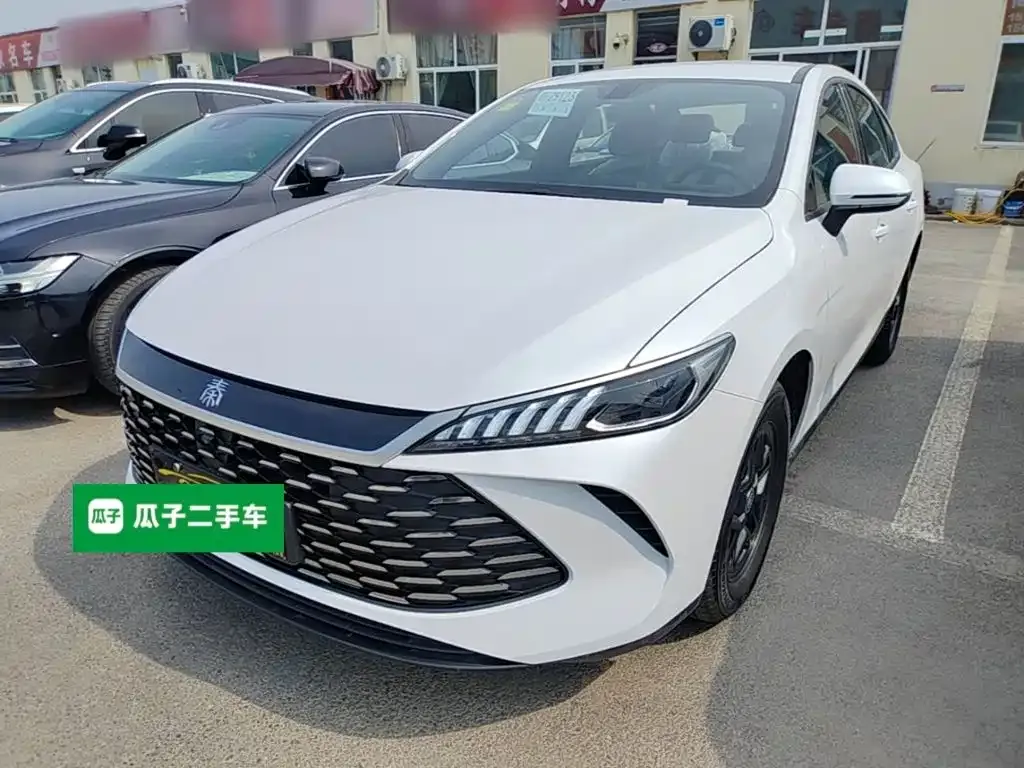 BYD Qin PLUS — фото 3