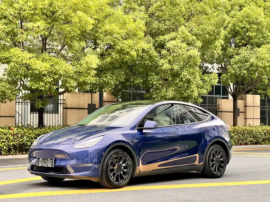 Tesla Model Y — фото 1