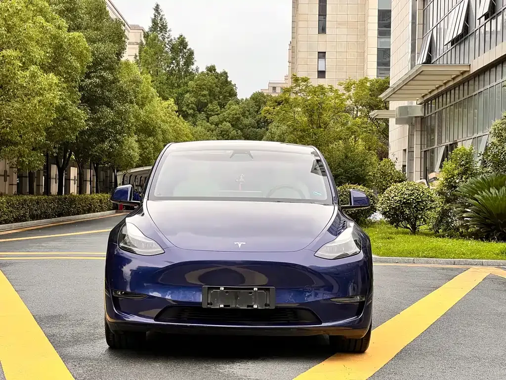 Tesla Model Y — фото 8