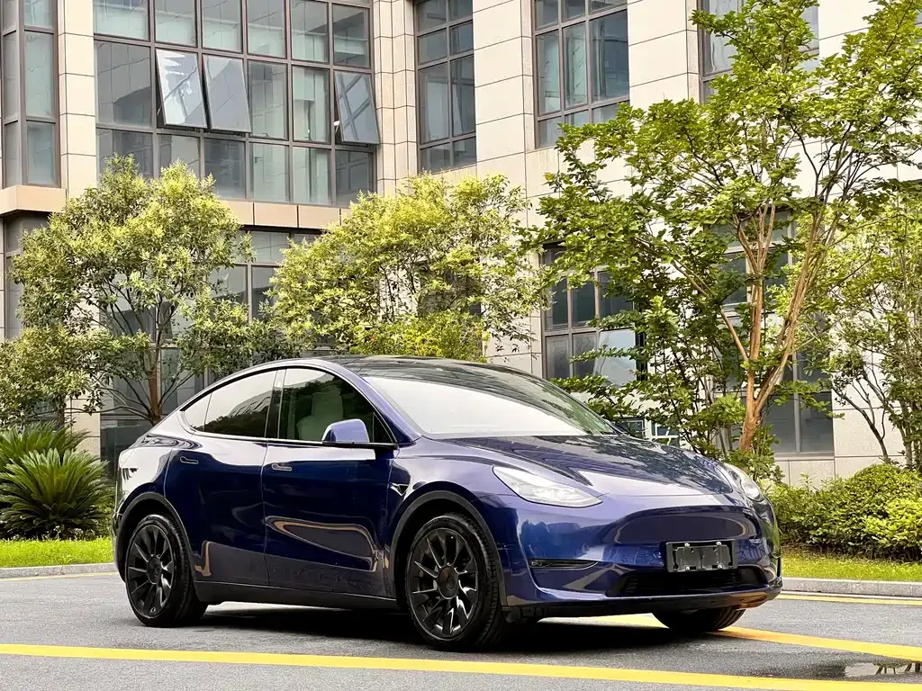 Tesla Model Y — фото 9