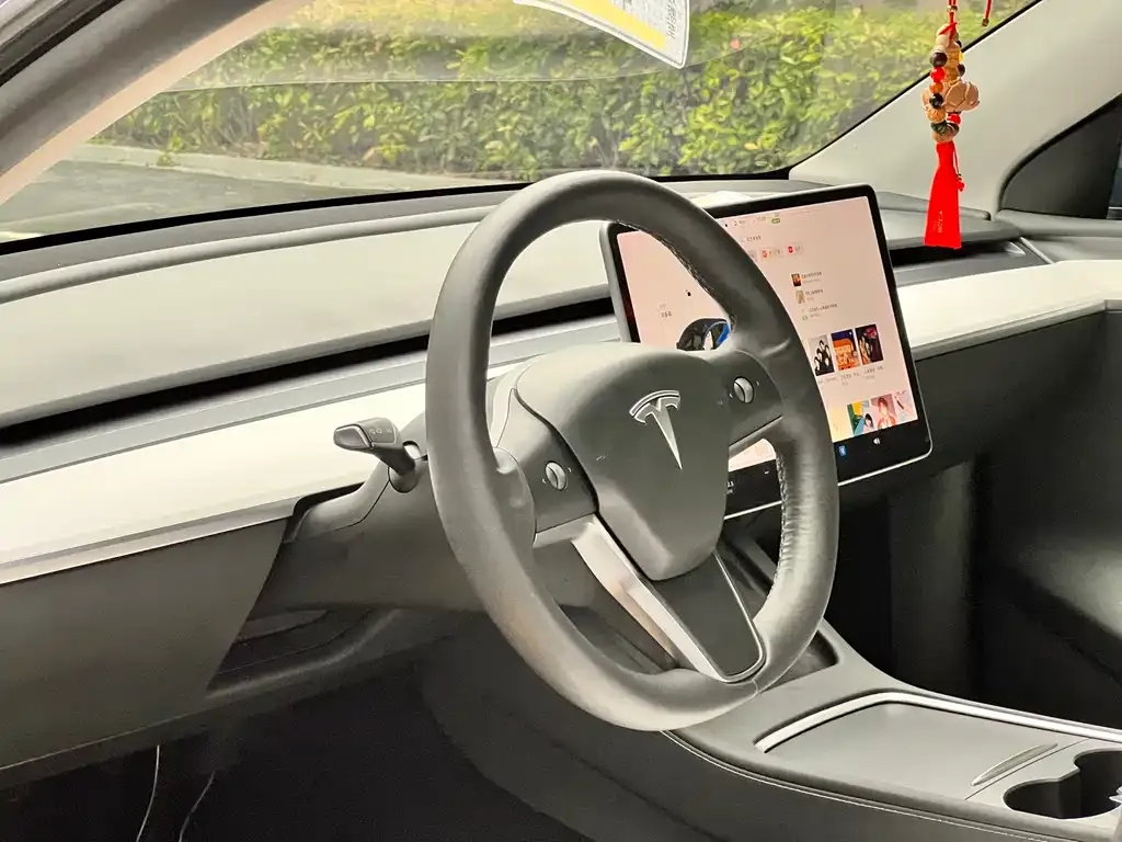 Tesla Model Y — фото 10