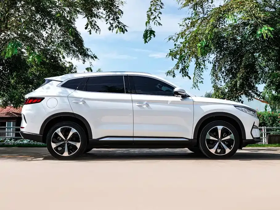 BYD PLUS New Energy — фото 6