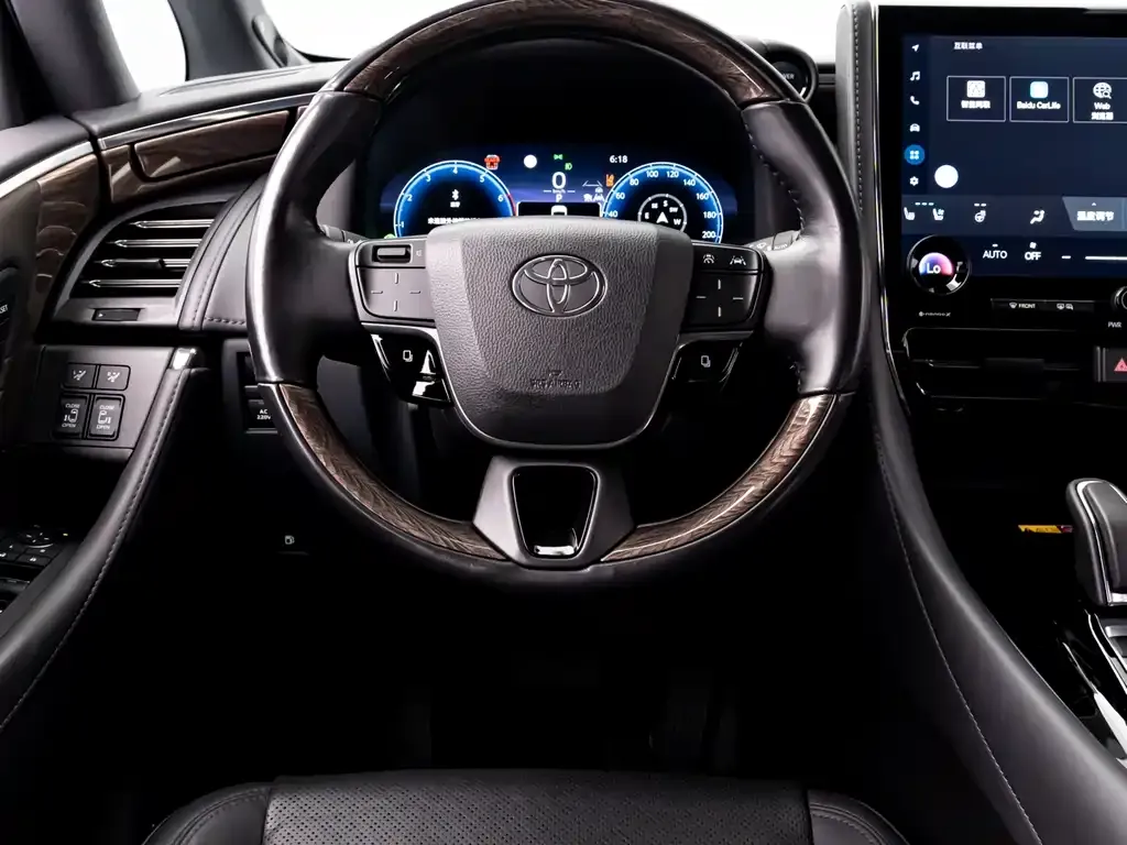 Toyota Alphard — фото 10
