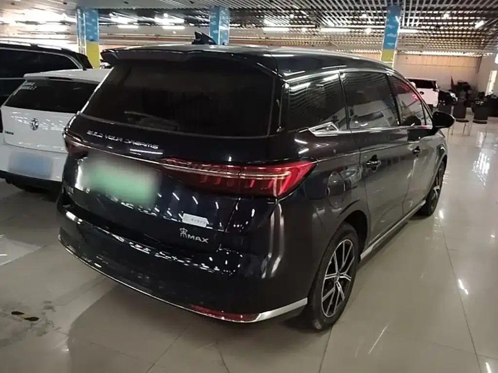 BYD MAX New Energy 2022 из CN, фото 7