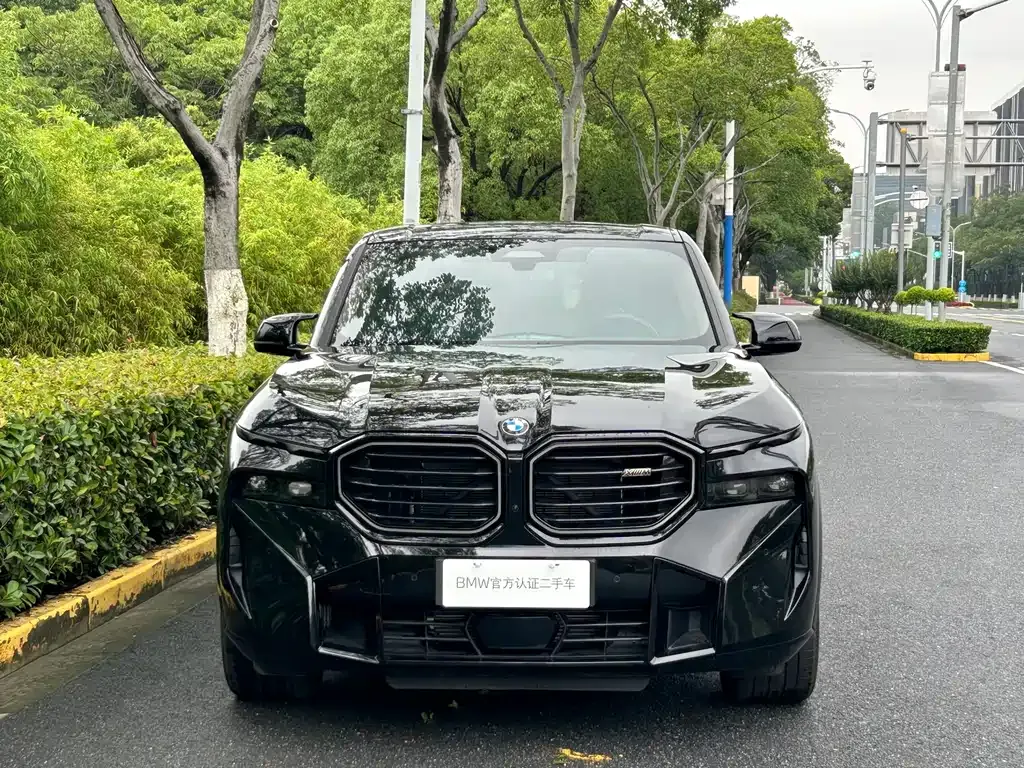 BMW XM — фото 9
