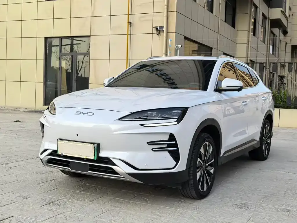 BYD PLUS New Energy — фото 1