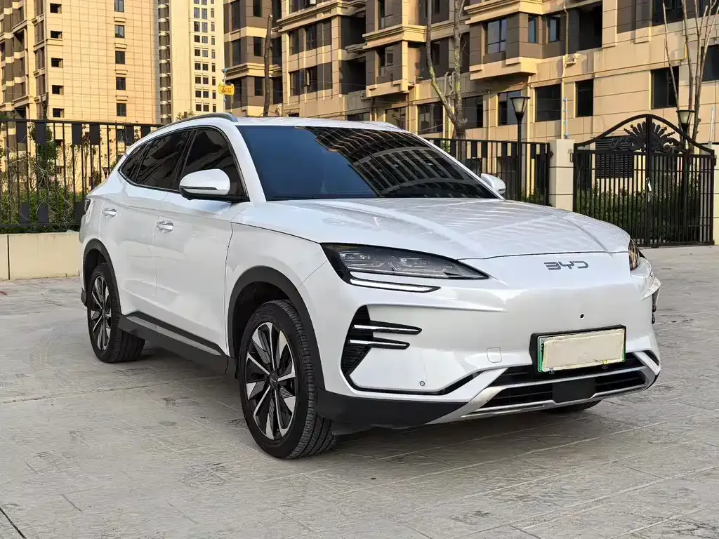 BYD PLUS New Energy — фото 8