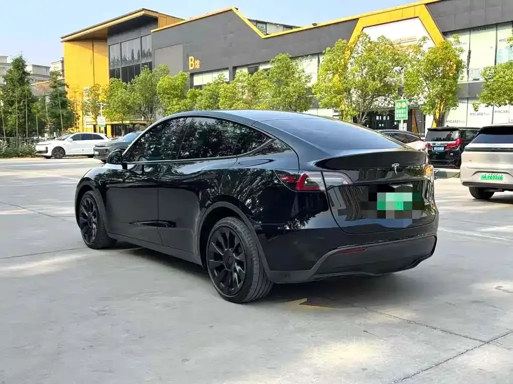 Tesla Model Y — фото 3