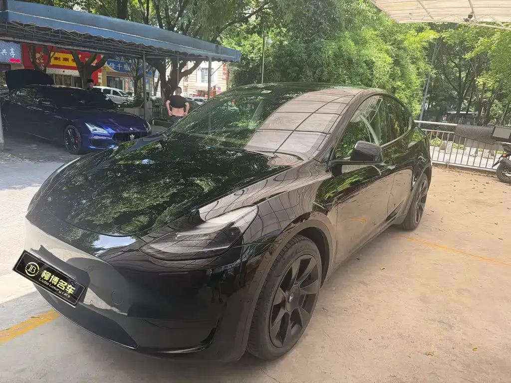 Tesla Model Y — фото 1