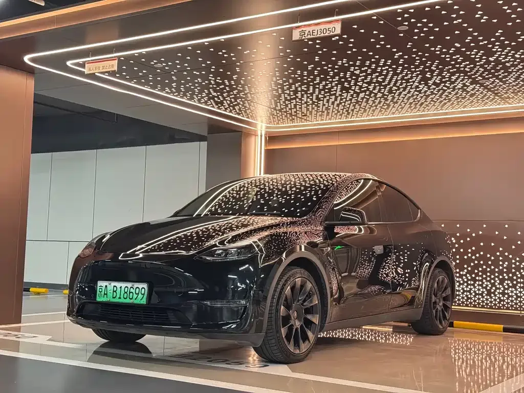 Tesla Model Y — фото 1