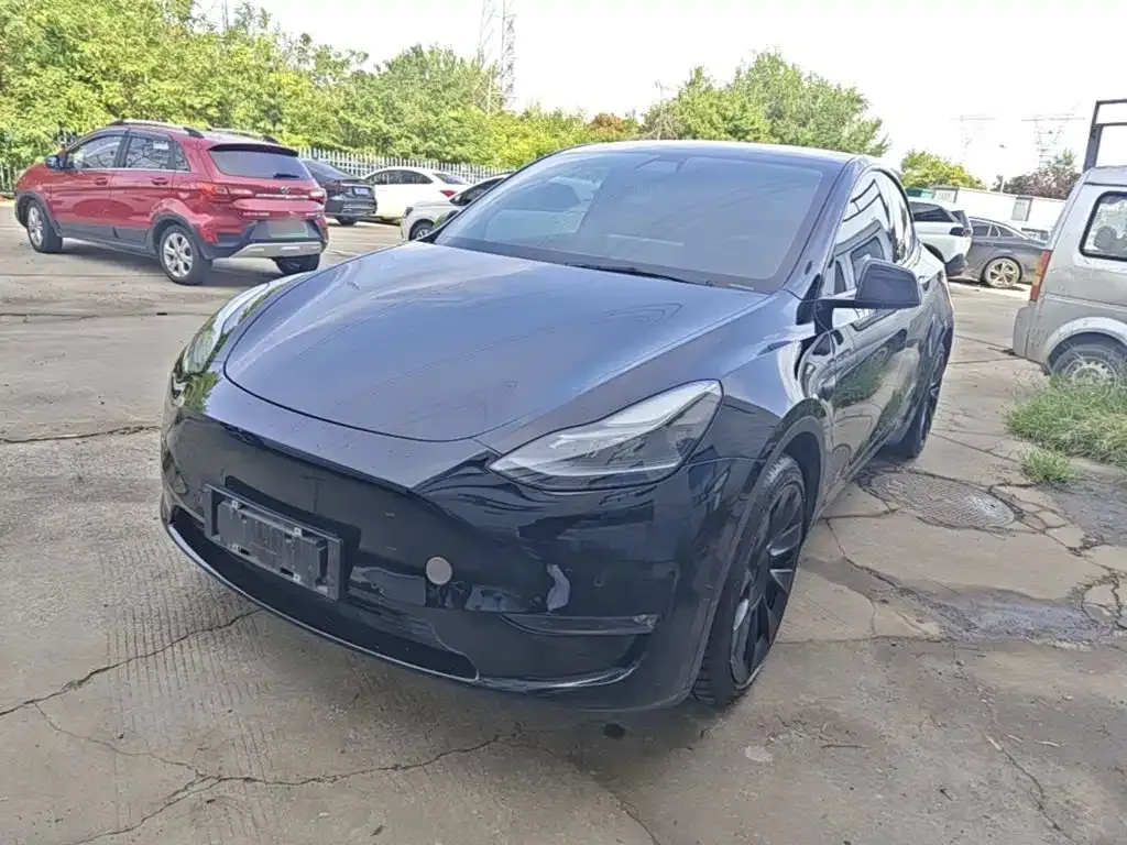Tesla Model Y — фото 1