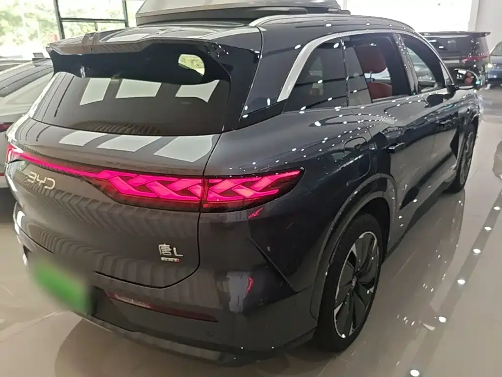 BYD Tang L — фото 10