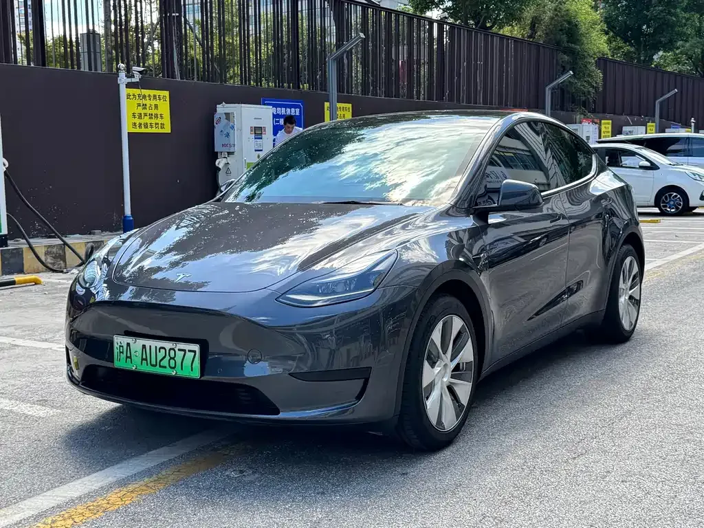 Tesla Model Y — фото 1