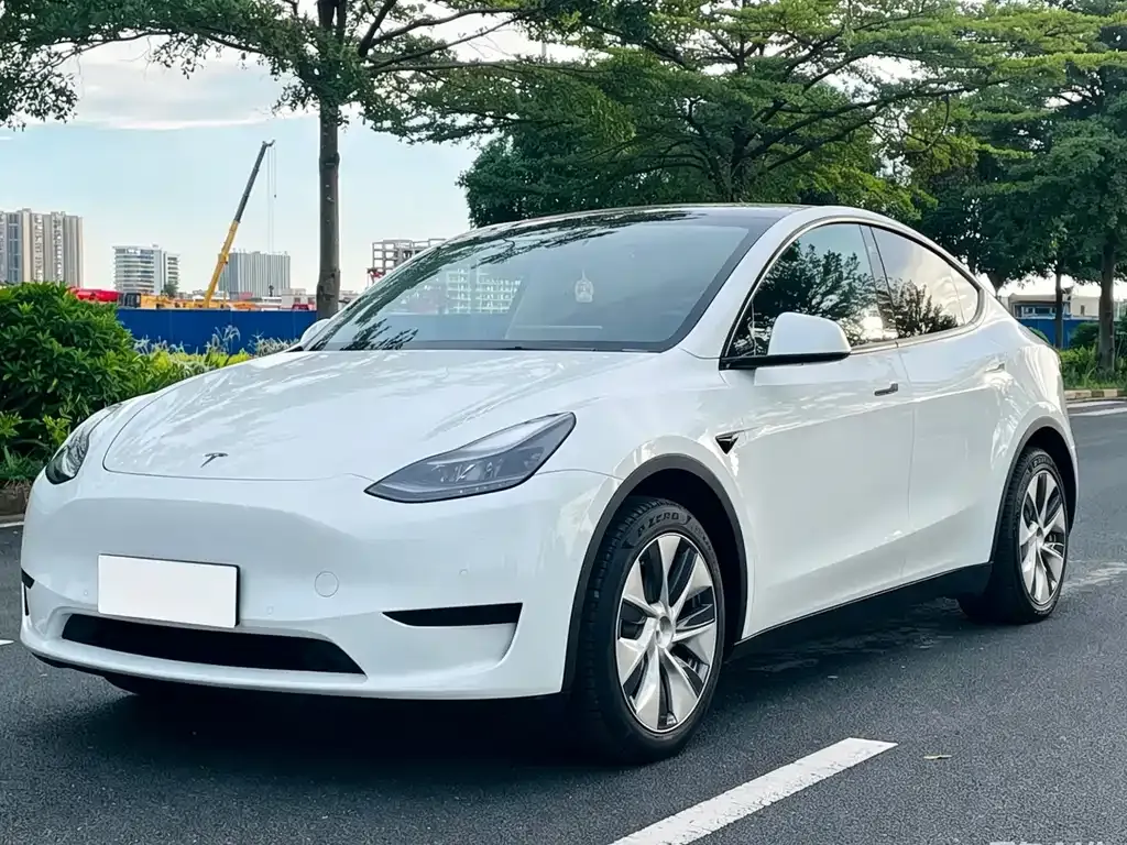 Tesla Model Y — фото 1