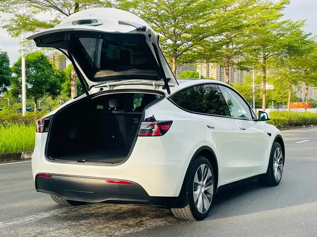 Tesla Model Y — фото 2