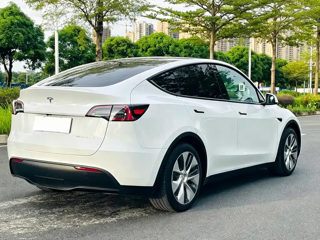 Tesla Model Y — фото 8
